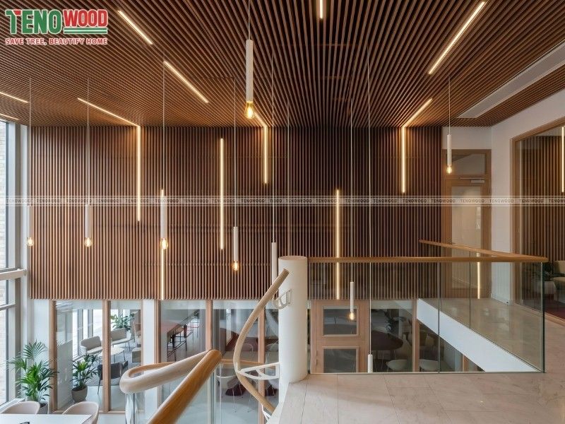 Lam treo nội thất Tenowood ốp trần showroom tạo chiều sâu thị giác